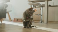 祝日は、定休日です。 水曜日は、午後3:00から診察しています。 5/7(水)の予約ができる時間枠は、以下の通り、余裕があります。参考にしてくださいませ。 午後　5:30　6:00　6:30　7:00　7:30 新型コロナ感染拡大を予防する対策として、父さんの健康保険OK整骨の治療で、2020年4月26日から予約優先の受付を開始しました。 急な変更でお手数を ...